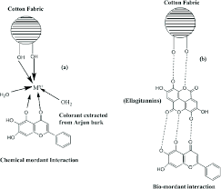 interaction between chemical