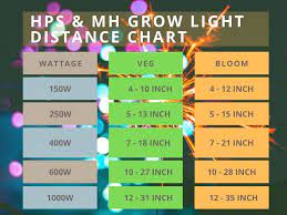 grow light be from my plants