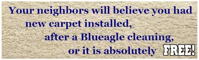 blueagle carpet and rug cleaning