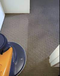 shannons carpet upholstery cleaning