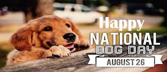 Veteran's day is an important observance in the united states, set aside for honoring and remembering men and women who have served in the armed forces. International Dog Day 2020 History And Significance Of National Dog Appreciation Day Time Bulletin