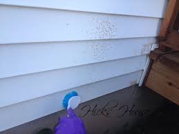 Spray paint off vinyl siding, teens thought this was fun in my neighborhood. How To Remove Stain From Vinyl Siding Hicks House
