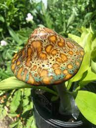 Large Ceramic Garden Mushrooms Colorful