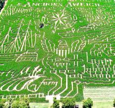 Corn Mazes And Pumpkin Patches