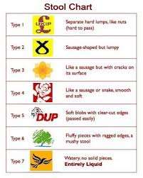The Bristol Poop Chart Which Of The 7 Types Of Bowel