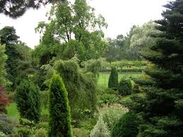 Fletcher Moss And Parsonage Gardens