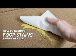 diy method for getting stains
