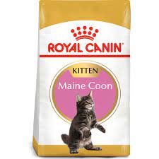 royal canin maine dry kitten cat