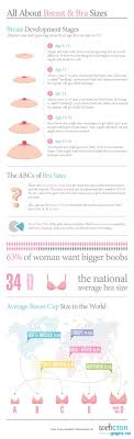 Breast Development Stages Chart Graph Infographics