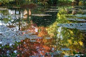 Claude Monet S Garden At Giverny