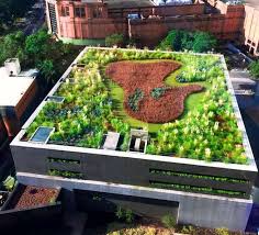 What Are The Benefits Of Green Roofs