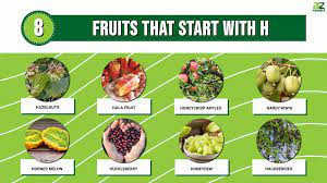 discover the 8 fruits that start with h