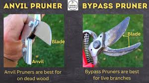 the ultimate guide to pruning tools