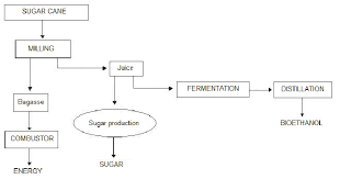 Ethanol Production From Sugarcane Waste