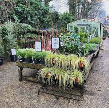 8 of london s best garden centres to