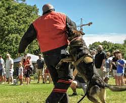 police dogs nashville k 9 nashville