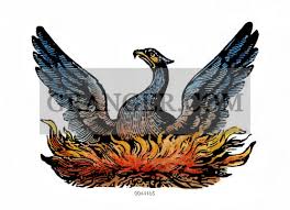 image of phoenix rising from ashes