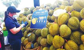 Thailand, Vietnam, and the Philippines compete for durian share in China -  Global Times