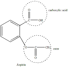 circle and label the ester group and