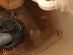 Water Problems Your Toilet Tank Might Tell You About