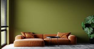 Top 20 Olive Green Colour Combination
