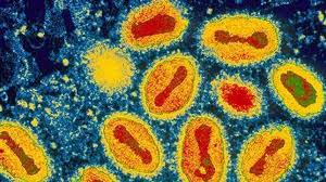 Los diez virus más letales de la Historia