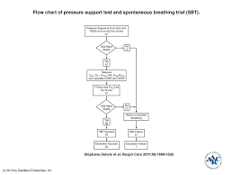 Flow Chart Of Pressure Support Test And Spontaneous