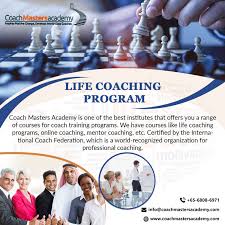 life coaching program visual ly