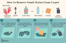 remove vomit stains from carpet cleaning