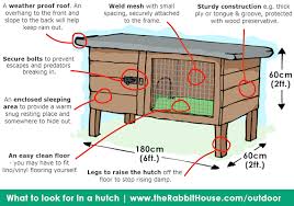 the rabbit house rabbit hutches