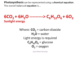 Write The Balanced Chemical Equation