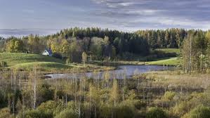 Nov 01, 2021 · estonia introduces its positions to europe re new eu forest strategy. Estonia Country Briefing The European Environment State And Outlook 2015 European Environment Agency