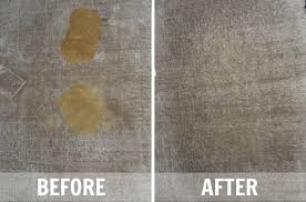 rug cleaning before after photos