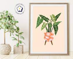 Blush Pink Alocasia House Plant Wall