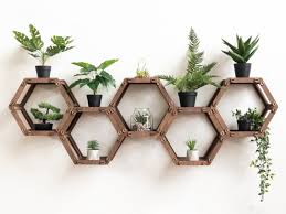 honeycomb plant shelf wall shelf