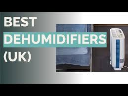 10 Best Dehumidifiers You
