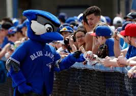 While the jays were stretching in the outfield before a game at the. Blue Jays Milb Report Herd Drop Two Reid Foley Rolls