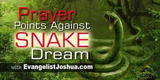 dream prayers to ter green snakes