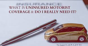 what is uninsured motorist coverage
