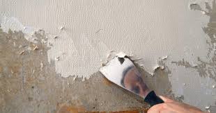 how to remove wallpaper house method
