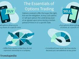 essential options trading guide