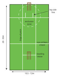 Cricket Pitch Diagram Cricket Wicket Cricket Coaching
