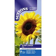 Carefully place the seeds into the drill and cover with soil. Sunflower Seeds Titan Suttons