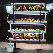 32 plants nft hydroponics grow kits