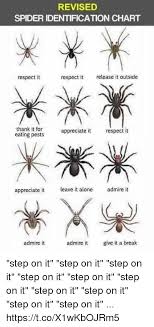 Revised Spider Identification Chart Respect It Release It