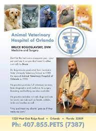 Animal Veterinary Hospital of Orlando gambar png