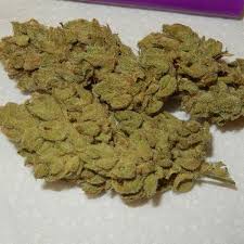 The chunky resin covered buds of the strain come with earthy. Buy Gorilla Glue Legalise Marijuana Online Shop