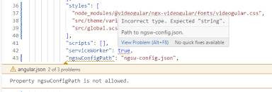 property ngswconfigpath is not allowed