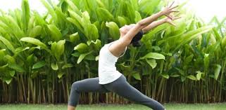 8 diffe types of yoga health and