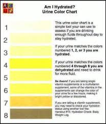 Are You Hydrated Urine Color Chart By Sissy Miranda